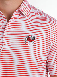 UGA Bulldogs men's "Standing Dawg" red and white striped polo shirt by Arena Graffiti, shown on a hanger.