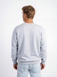 Georgia Southern Men's Arena Graffiti "Strutter" grey crewneck sweatshirt with logo and design detail on front.
