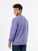 LSU Tigers men's "Mike" heavyweight crewneck sweatshirt by Arena Graffiti with team logo and bold design.