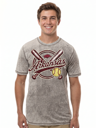 Arkansas Razorbacks Men's | "2026 Softball Super Regional" Tee